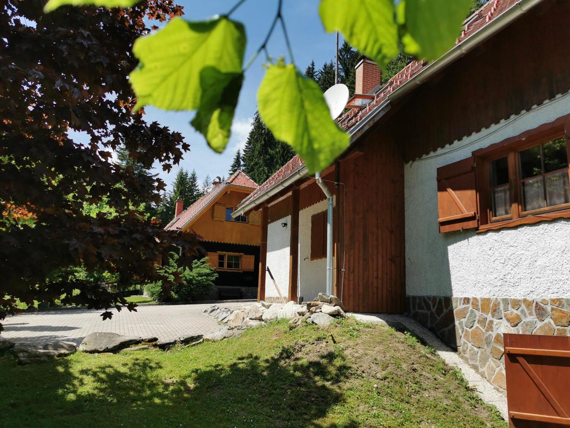 Pohorje House 2 Four Appartmetns Oplotnica Room photo