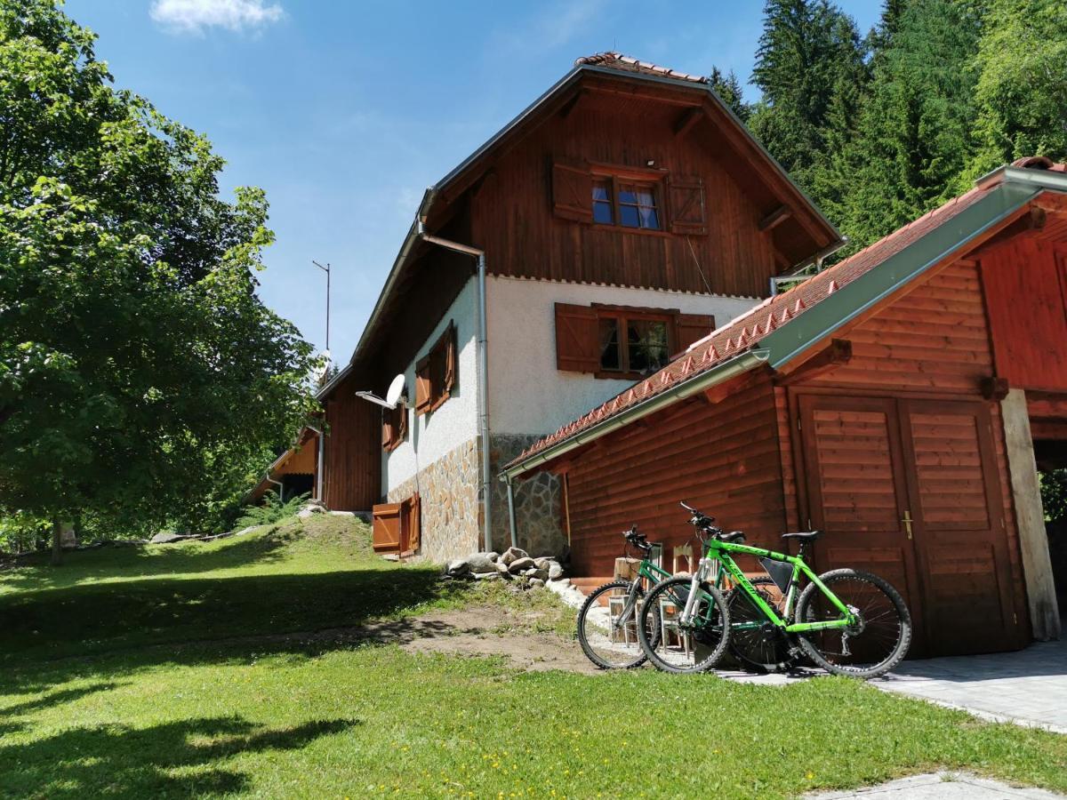 Pohorje House 2 Four Appartmetns Oplotnica Exterior photo